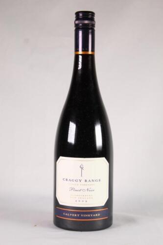 (1) 2009 Craggy Range Calvert Single Vineyard Pinot Noir, Bannockburn