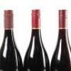 (1) Ata Rangi Pinot Noir, Martinborough 3 pack consisting of 1 of each 2005, 2009 and 2016 - 9