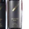 (2) 2019 Destiny Bay Destinae, Waiheke - 2