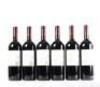 (12) 2008 Te Mata Estate Coleraine, Hawkes Bay - 5