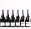 (1) Rippon Tinker's Field Pinot Noir, Wanaka Vertical 2008 - 2013 (6 pack)