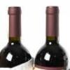(6) 2017 Massolino Vigna Rionda Riserva, Barolo - 5
