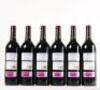 (6) 2018 Vega Sicilia Alion, Ribera del Duero - 3