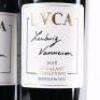 (2) 2018 LVCA Ludwig Vanneron Le Galant, Hawkes Bay - 2