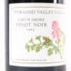 (1) 2013 Pyramid Valley Vineyards Earth Smoke Pinot Noir, Waikari - 2