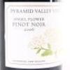 (1) 2006 Pyramid Valley Vineyards Angel Flower Pinot Noir, Waikari - 2