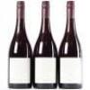 (3) 2015 Pyramid Valley Vineyards Angel Flower Pinot Noir, Waikari - 3