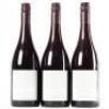 (3) 2014 Pyramid Valley Vineyards Angel Flower Pinot Noir, Waikari - 3