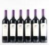 (6) 2004 Te Motu Cabernet Sauvignon/Merlot, Waiheke