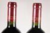 (2) 2000 Te Mata Coleraine, Hawkes Bay - 5
