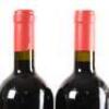 (6) 2020 Podere Grattamacco Bolgheri Superiore Bolgheri, Tuscany - 7