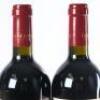 (2) 2020 Te Mata Estate Coleraine, Hawkes Bay - 5