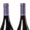 (1) Rippon Tinker's Field Pinot Noir, Wanaka Vertical 2008 - 2013 (6 pack) - 15