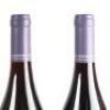 (1) Rippon Tinker's Field Pinot Noir, Wanaka Vertical 2008 - 2013 (6 pack) - 17