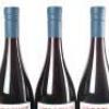 (3) 2018 Vergence by Pegasus Bay Mk 1 Pinot Noir, Waipara - 5
