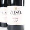 (4) 2018 Vidal Estate Soler Syrah, Hawkes Bay - 2
