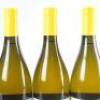 (3) 2009 Dog Point Chardonnay, Marlborough - 7