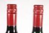 (2) 2003 Capricorn Wine Uncovered Merlot, Hawkes Bay - 4