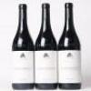 (3) 2016 Cantina del Pino Gallina, Barbaresco