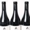 (3) 2016 Cantina del Pino Gallina, Barbaresco - 6