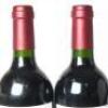 (2) 2015 Puriri Hills Pope, Clevedon - 5