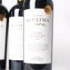 (6) 2018 Bodega Septima 'Septimo Dia-Septima Obra' Malbec, Mendoza Argentina - 2