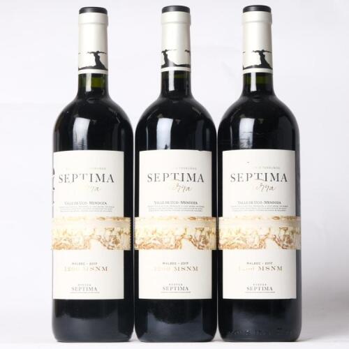 (3) 2017 Septima Tierra 1200 MSNM Malbec, Mendoza Argentina