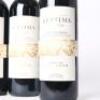 (3) 2017 Septima Tierra 1200 MSNM Malbec, Mendoza Argentina - 2