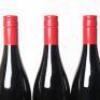 (6) 2016 Shaw + Smith Shiraz, Adelaide Hills SA - 7