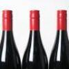 (6) 2016 Shaw + Smith Shiraz, Adelaide Hills SA - 8