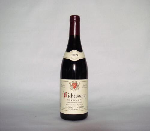 (1) 2009 Domaine Hudelot-Noellat Richebourg Grand Cru, Cote de Nuits