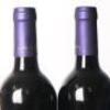 (2) 1999 Alpha Domus The Navigator Merlot/Cabernet Sauvignon, Hawkes Bay - 5