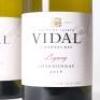 (2) 2018 Vidal Legacy Chardonnay, Hawkes Bay - 2
