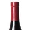 (1) 2015 Cantina del Pino Ovello Barbaresco, Piedmont - 5