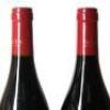 (2) 2015 Te Mata Estate Syrah Bullnose, Hawkes Bay - 7