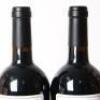 (2) 2019 LVCA Petite Frere, Hawkes Bay - 5