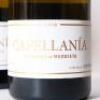 (3) 2016 Marques de Murrieta 'Capellania' Reserva Rioja - 2