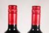 (2) 2009 Chateau Tour de Mirambeau, Bordeaux - 5