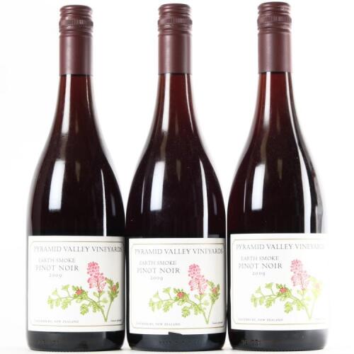 (3) 2009 Pyramid Valley Vineyards Earth Smoke Pinot Noir, Waikari