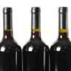 (3) 2017 Turanga Creek Les Vendanges Merlot, Hawkes Bay - 5