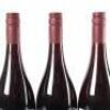 (3) 2016 Pyramid Valley Vineyards Angel Flower Pinot Noir, Waikari - 6