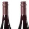 (2) 2010 Pyramid Valley Vineyards Angel Flower Pinot Noir, Waikari - 5