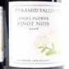 (3) 2006 Pyramid Valley Vineyards Angel Flower Pinot Noir, Waikari - 2