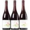 (3) 2009 Pyramid Valley Vineyards Earth Smoke Pinot Noir, Waikari