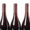 (3) 2009 Pyramid Valley Vineyards Earth Smoke Pinot Noir, Waikari - 5