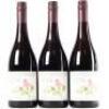 (3) 2010 Pyramid Valley Vineyards Earth Smoke Pinot Noir, Waikari