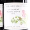 (3) 2010 Pyramid Valley Vineyards Earth Smoke Pinot Noir, Waikari - 2