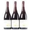 (3) 2008 Pyramid Valley Vineyards Angel Flower Pinot Noir, Waikari