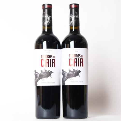 (2) 2014 Dominio de Cair 'Tierras de Cair' Reserva, Ribera del Duero