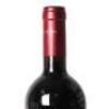 (1) 2016 Felsina Berardenga Fontalloro Toscana IGT, Tuscany - 6
